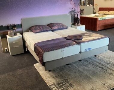 boxspring bs1 ergosleep