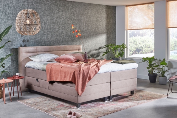 Mammoet Woongigant - Mammoet woongigant – Slapen